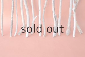 画像6: 小枝流木セット