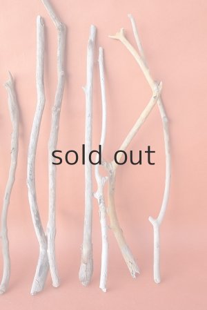 画像5: 小枝流木セット