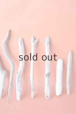 画像4: 小枝流木セット