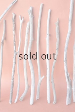 画像3: 小枝流木セット