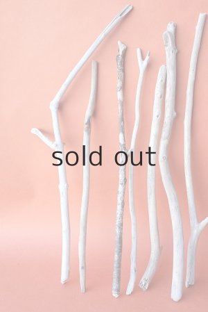 画像2: 小枝流木セット