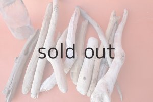 画像6: 小枝流木セット