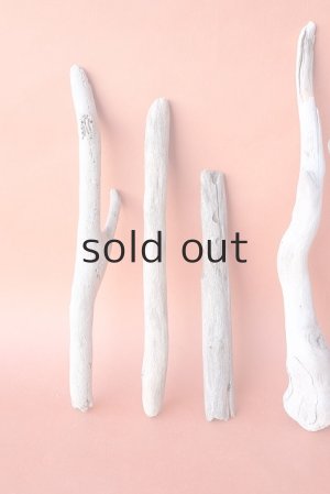 画像2: 小枝流木セット