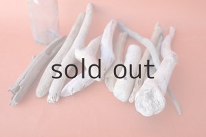 画像5: 小枝流木セット