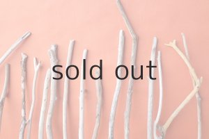 画像7: 小枝流木セット