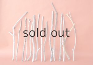 画像1: 小枝流木セット