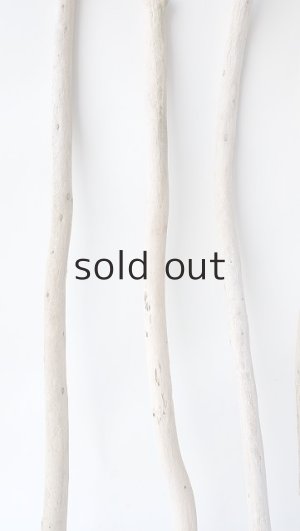 画像5: 棒流木セット