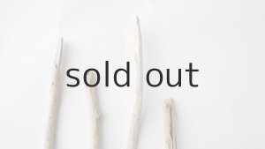 画像4: 棒流木セット