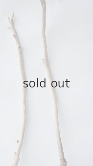 画像4: 枝流木セット