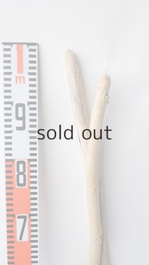 画像8: 棒流木セット