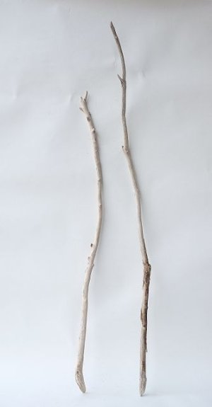 画像1: 枝流木セット