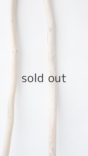 画像4: 棒流木セット