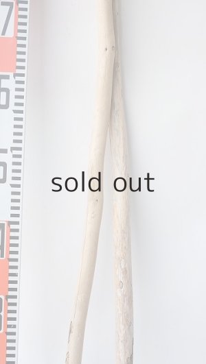 画像7: 棒流木セット