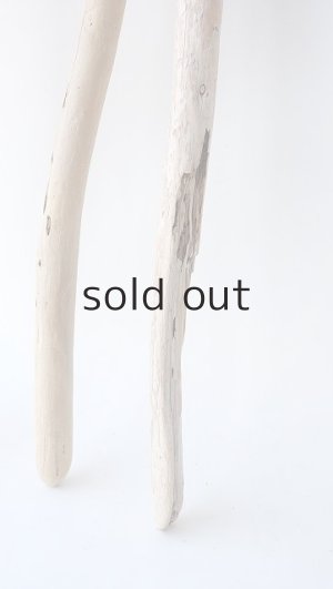 画像6: 棒流木セット