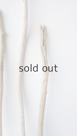 画像6: 棒流木セット