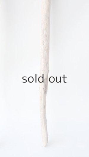 画像2: 棒流木セット