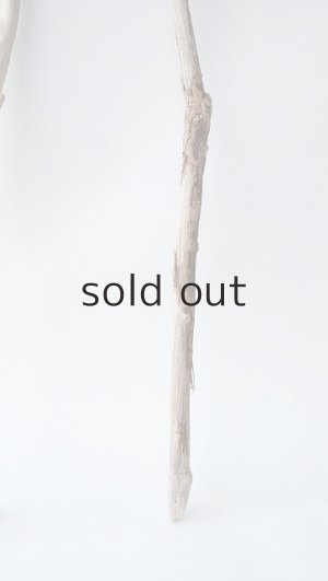 画像2: 枝流木セット