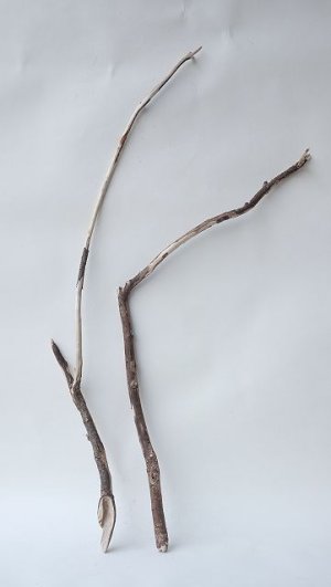 画像1: 枝流木セット