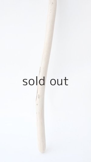 画像3: 棒流木セット