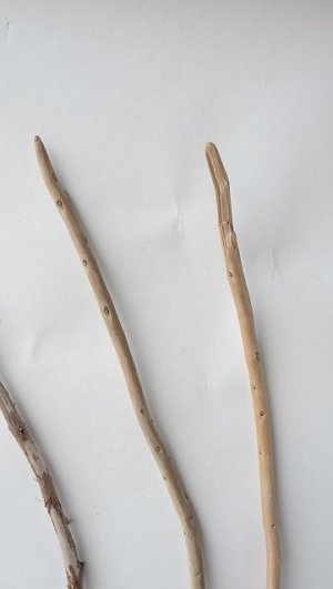 画像5: 棒流木セット