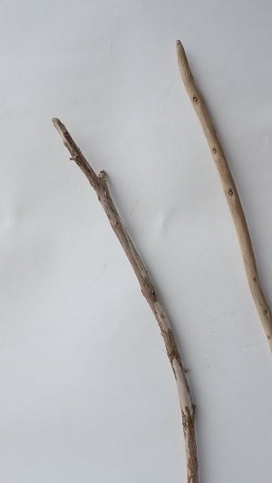 画像4: 棒流木セット