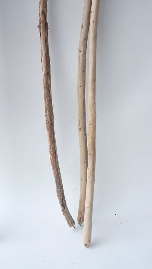 画像6: 棒流木セット