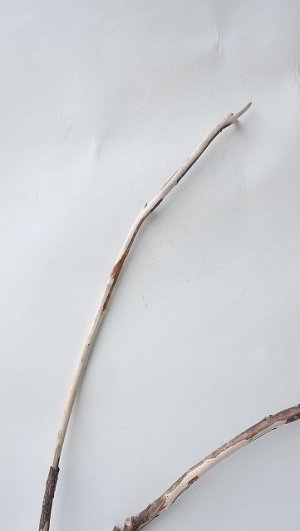 画像5: 枝流木セット