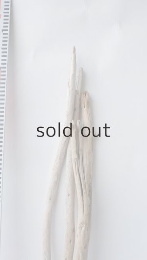 画像7: 棒流木セット