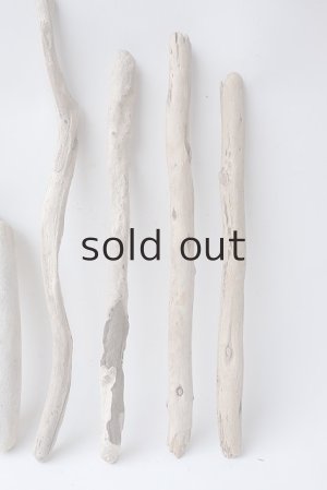 画像6: 棒流木セット