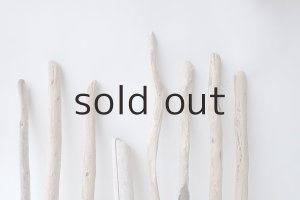 画像3: 棒流木セット