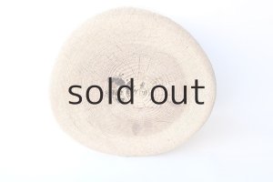 画像10: その他の流木・切り株