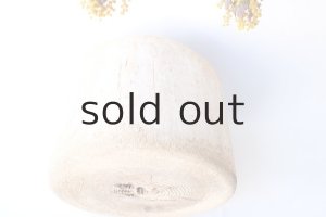 画像11: その他の流木・切り株