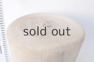 画像5: その他の流木・切り株