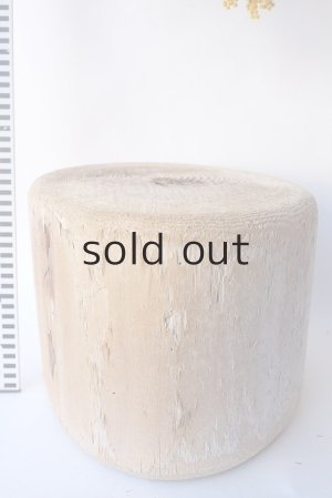 画像6: その他の流木・切り株