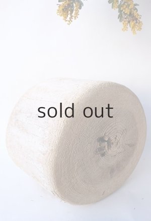 画像8: その他の流木・切り株