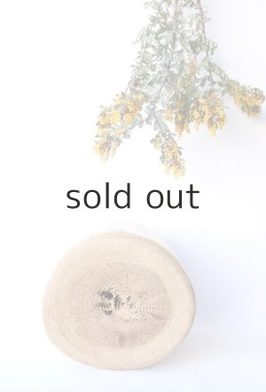 画像9: その他の流木・切り株