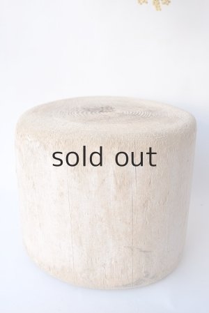 画像3: その他の流木・切り株