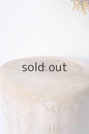 画像2: その他の流木・切り株