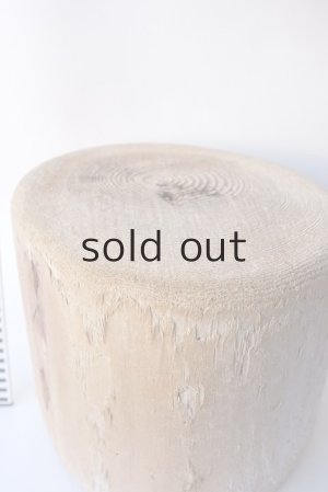 画像7: その他の流木・切り株