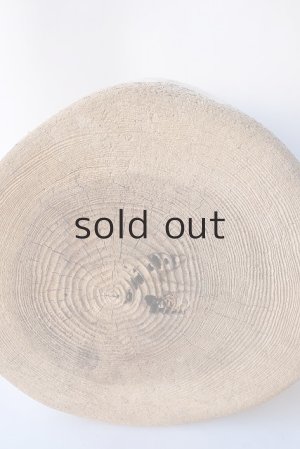 画像12: その他の流木・切り株