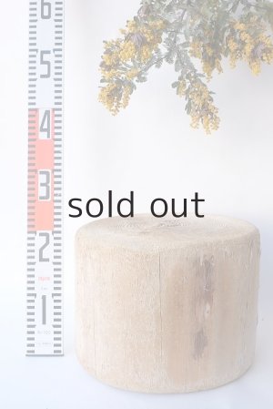 画像4: その他の流木・切り株