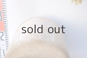 画像13: その他の流木・切り株