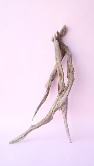 画像2: 変形流木