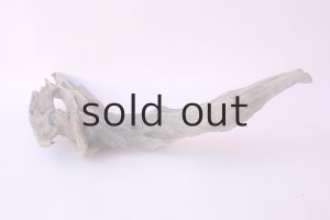 画像5: 変形流木