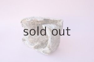 画像6: 変形流木