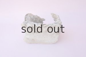 画像4: 変形流木