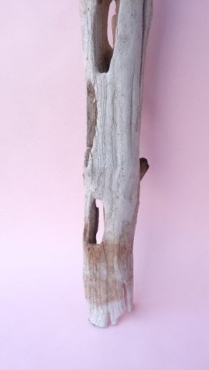 画像2: 変形流木