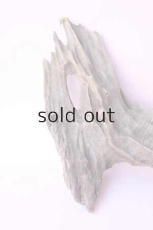 画像2: 変形流木