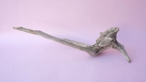 画像8: 変形流木