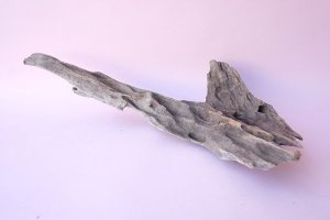 画像4: 変形流木